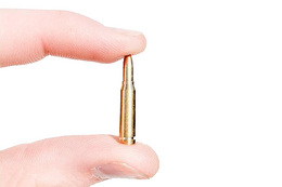 Heavy Dummy Rounds (10)
